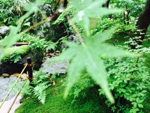 10451172_728383687200636_2165132049229302162_n