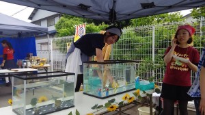 11031905_682751461854237_2467643498766567805_n