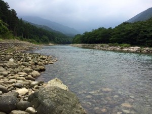 11403178_900598733320016_8699528120487975172_n