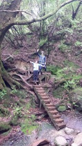 15614_902189493160940_8377620400202106375_n