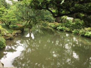 13406997_489759207888898_6031369006878071660_n