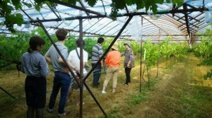 13428624_490060437858775_9109954550015366614_n