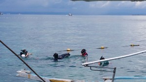 13516611_1377519532265530_7661907949108619655_n