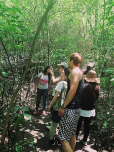 13529127_1095751827138038_7690586202666987080_n