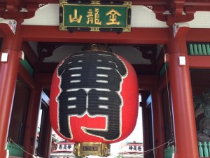 14225599_522758231255662_7915926363874784780_n