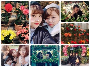 15036178_1019359894860057_3594568812158013402_n