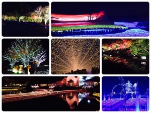 15095471_1019360918193288_3328233827007413289_n