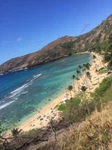 19510362_1882685015082310_4894978650787072610_n