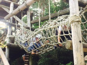 20429897_1480610398652177_7133717291318802762_n