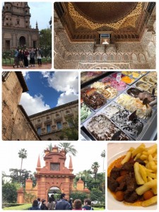 22528309_1307467609362989_3968090323953270031_n