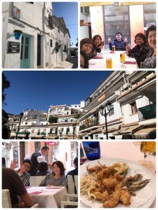 22539914_1307469572696126_6050216439829075934_n