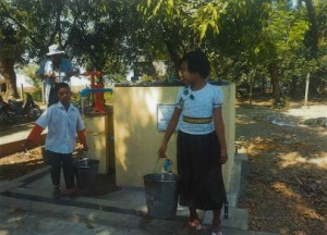 20190330115651786_0003-s