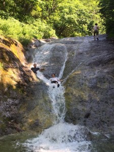 62587348_1774327706003577_7958439567579676672_n