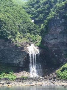 65390803_1774322189337462_5488697853276585984_n