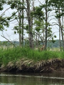 65466042_1774308396005508_6776859051876679680_n