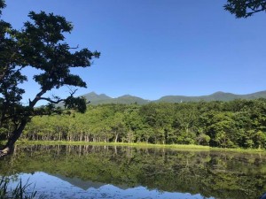 65792981_1774319809337700_5091450920705720320_n