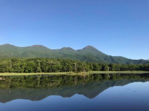 65805238_1774319729337708_3253851667078053888_n