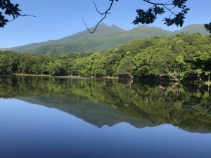 65971413_1774319742671040_4904416193160413184_n